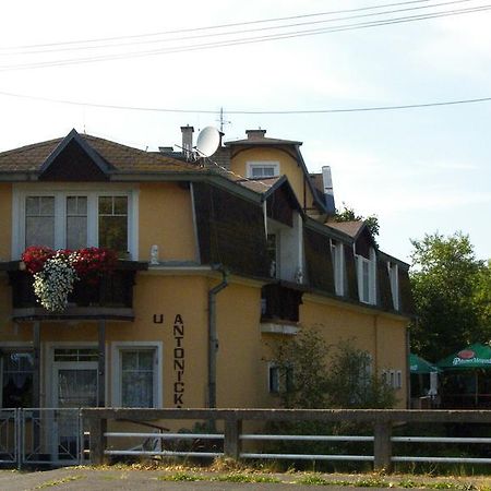 Penzion U Antonickova Pramene Mariánské Lázně Extérieur photo